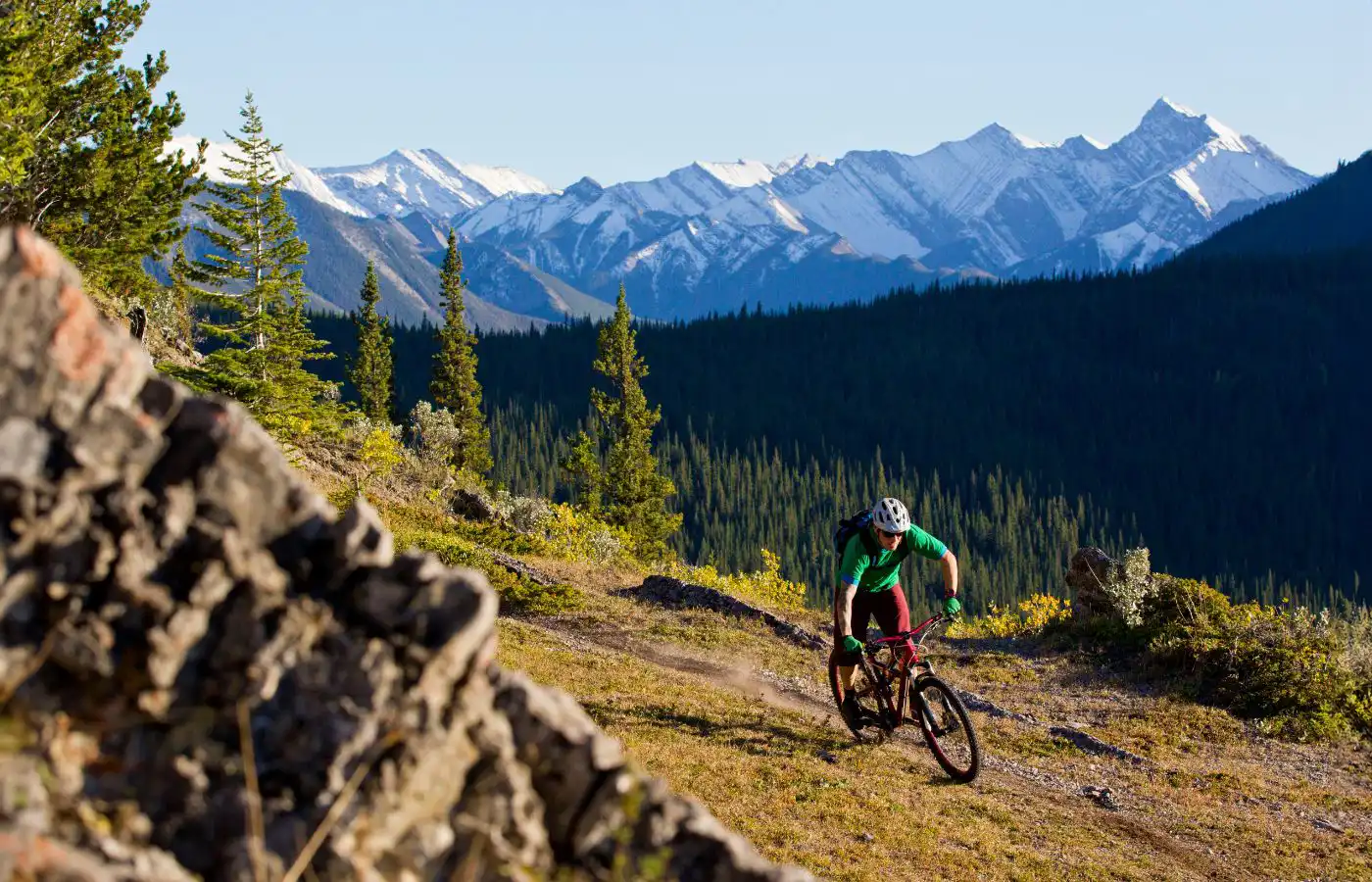 Cycliste pratiquant le VTT sur un sentier de montagne, entouré de paysages forestiers et de sommets enneigés à l'arrière-plan.